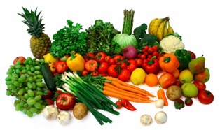 Agricultural Product and Services Industry
